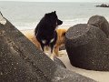 sylt (7)
